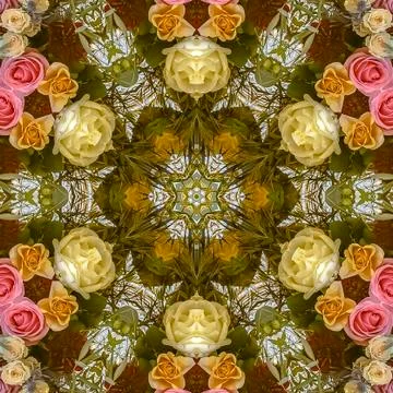Square frame Floral design with roses at a wedding in California Stock Photos