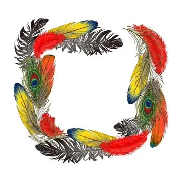 Square frame formed by bird feathers with space for text Stock Illustration