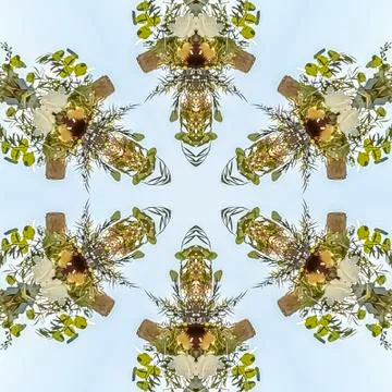 Square frame Interesting geometric design shapes of a floral pattern against the Stock Photos