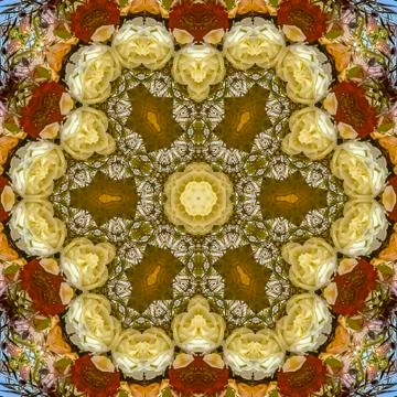 Square frame Large hexagonal flowers in circular arrangement at wedding in Stock Photos