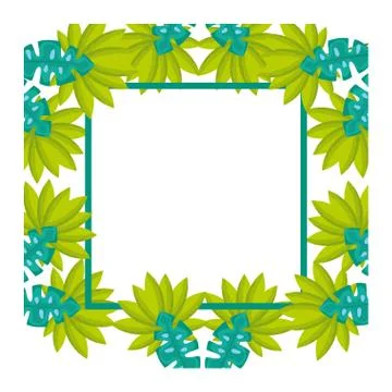 Square frame leaves tropical template Ilustração Stock