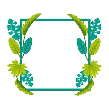 Square frame leaves tropical template Ilustração Stock