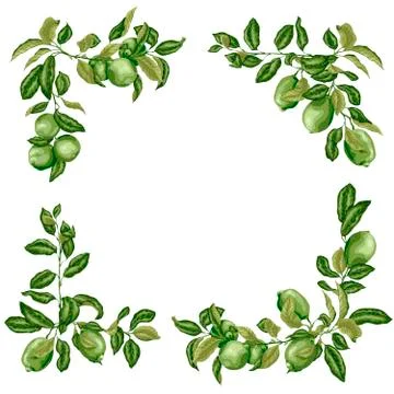 Square Frame with lime and lemon branches in olive green colors on white back 스톡 일러스트