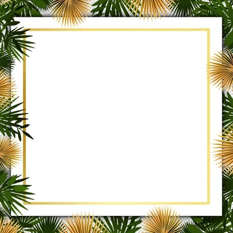 Square Frame Luxury Leaves 2 Stock Footage 241319113