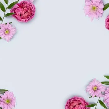 Square frame made of aster, rose flowers and green leaves Stock Photos