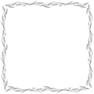 Square frame made of contour wheat or rye ears. Vector autumn border, backd.. イラスト素材