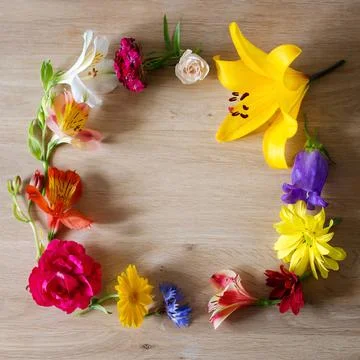 Square frame made of different flowers on wooden background. Stock Photos