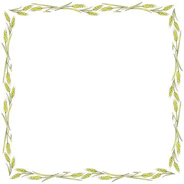 Square frame made of golden wheat or rye ears. Vector autumn border, backdrop イラスト素材