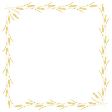 Square frame made of golden wheat or rye ears. Vector autumn border, backdr.. Stockillustratie