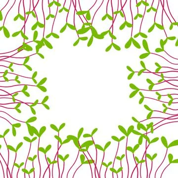 Square frame made of microgreens. Stock Illustration