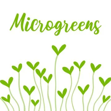 Square frame made of microgreens. Stock Illustration