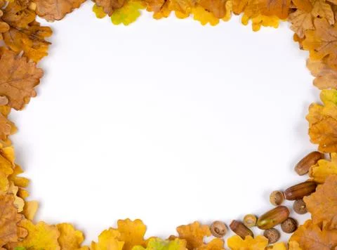 Square   frame made with  rusty dried  oak leaves Foto stock