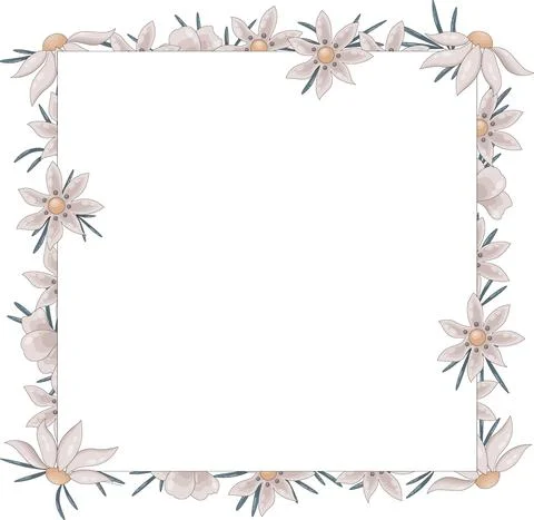 Square frame made of wild beige daisies. and green thin leaves. Stock Illustration