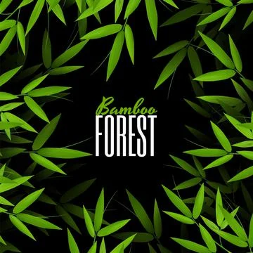 Square frame of Natural nature background. fresh green bamboo stems and leave Stock Illustration