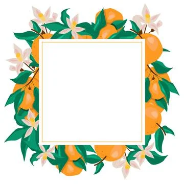 Square frame with oranges and flowers Stock Illustration