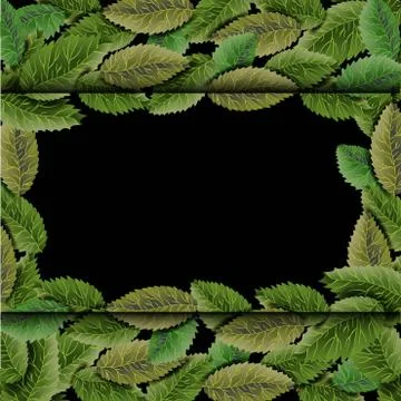 Square frame, overgrown tree branches with green leaves on wooden background. Stock Illustration
