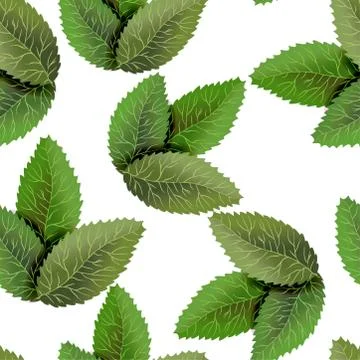 Square frame, overgrown tree branches with green leaves on wooden background. Stock Illustration