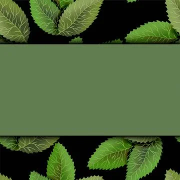 Square frame, overgrown tree branches with green leaves on wooden background. Stock Illustration