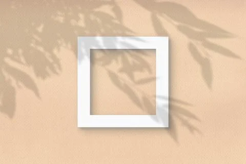 The square frame on a pastel beige wall background. Mockup overlay with the Stock Illustration