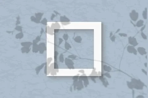 The square frame on a pastel blue wall background. Mockup overlay with the plant Stock Illustration