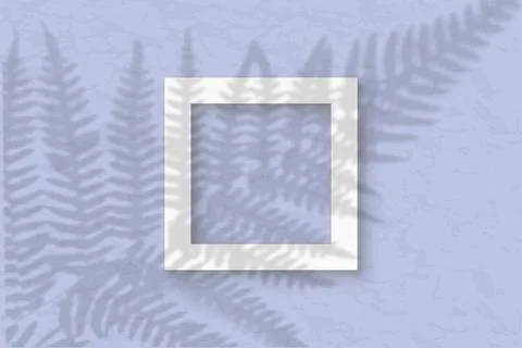 The square frame on a pastel blue wall background. Mockup overlay with the plant Stock Illustration