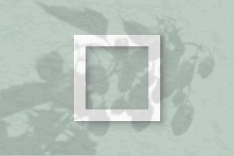 The square frame on a pastel green wall background. Mockup overlay with the Stock Illustration