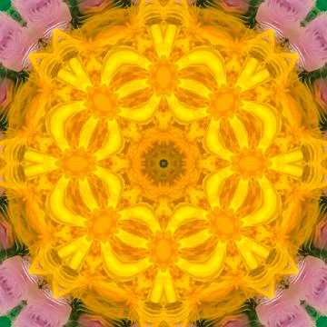 Square frame Pattern with some feathers and created digitally Foto stock