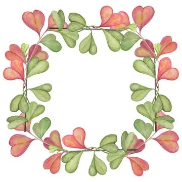 Square frame with pink and green sweetheart hoya Stock Illustration