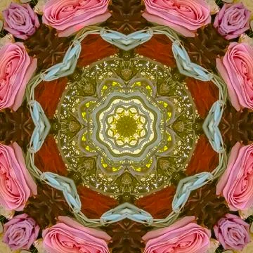 Square frame Pink red purple roses and green leaves made into an abstract shape 스톡 사진