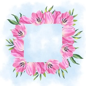 Square frame of pink tulips flowers and leaves with blue spots. watercolor Stock Illustration
