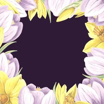 Square frame from purple crocuses and yellow daffodils flowers. Isolated hand Stock Illustration