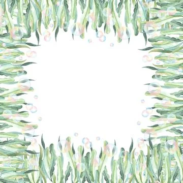 Square frame of seaweed, algae and bubbles. Hand-drawn watercolor illustration Stock Illustration