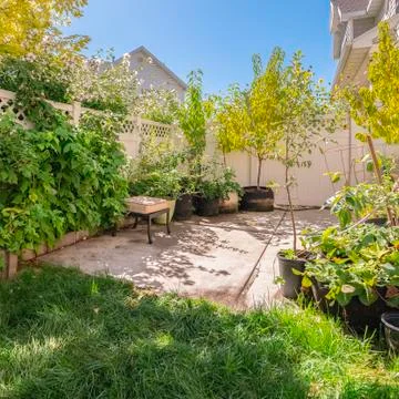 Square frame Small leafy green garden surrounded by a wall Stock Photos