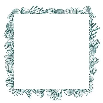 A square frame with space for text and a chamomile with leaves. Vector fram.. Stock Illustration