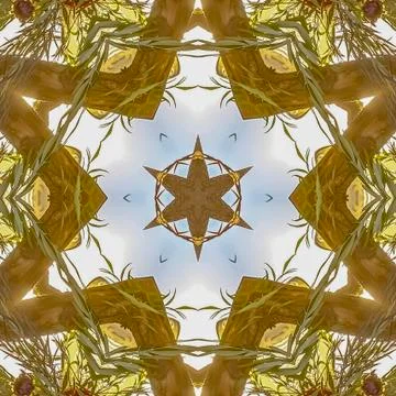 Square frame Star design created from a floral arrangement at a Jewish wedding Stock Photos