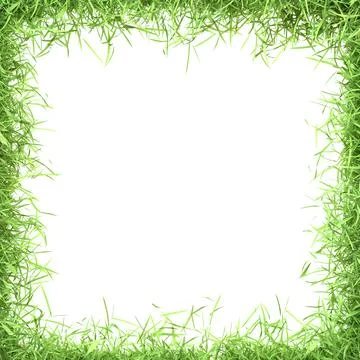 Square frame surrounded by a dense border of fresh green grass Stock Illustration
