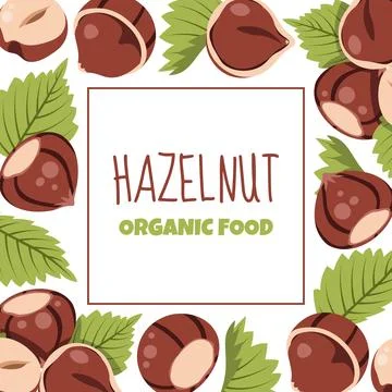 Square Frame Template with Hazelnuts and Green Leaves in Flat Style. Ideal fo Stock Illustration