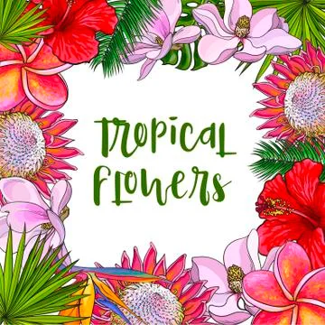 Square frame of tropical flowers and palm leaves Stock Illustration