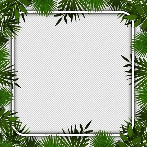 Square Frame with Tropical Leaves 2 Video stock 241320158