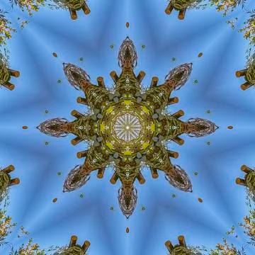 Square frame Vivid shapes with angular displays of flowers in circular Stockfoto's