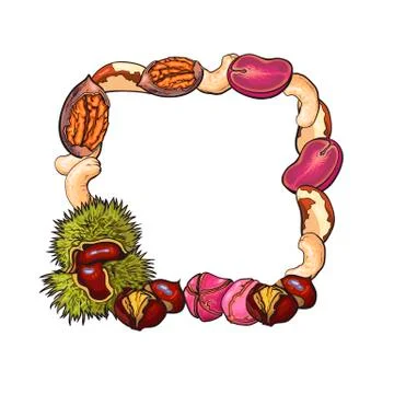 Square frame of walnut, coconut, cashew, kola, pine, Brazil nuts Stock Illustration
