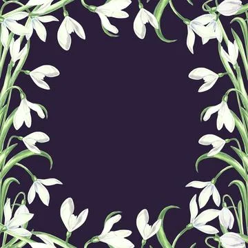 Square frame from white snowdrops flower with green leaves. Isolated hand drawn Illustrazione stock