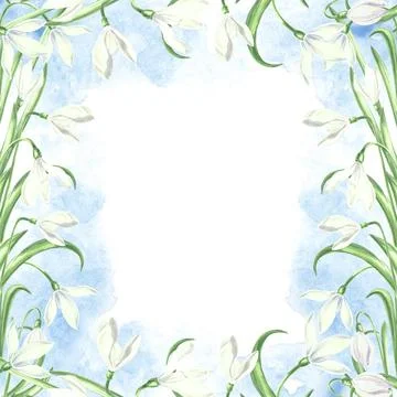Square frame from white snowdrops with leaves on blue stain. Isolated hand drawn Stock Photos