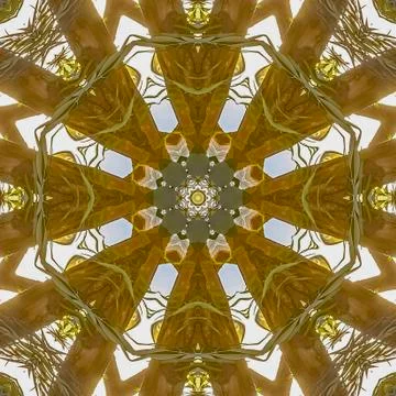 Square frame Wild angular shapes of a flower arrangement showing only leaves and Stockfoto's