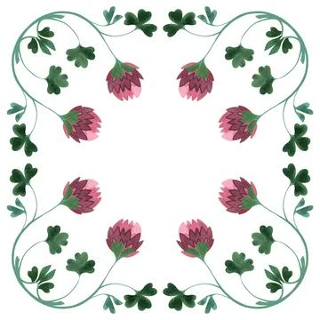Square frame of wild clover and shamrocks. Decor for graphic design, printing Stock Illustration