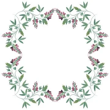 Square frame of wild herbs, flowers and leaves. Decor for graphic design Stock Illustration