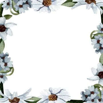 A square frame with yellow and blue flowers and leaves around the edges. A .. Stock Illustration