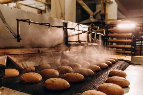 Square fresh bread cools down on conveyor automatic production line bakery af Stock Photos