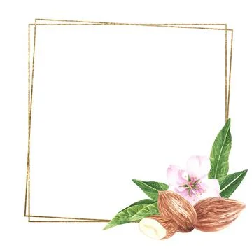Square golden frame of nuts and leaves almonds. Isolated on a white background Stock Illustration