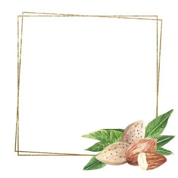 Square golden frame of nuts and leaves almonds. Isolated on a white background Stock Illustration
